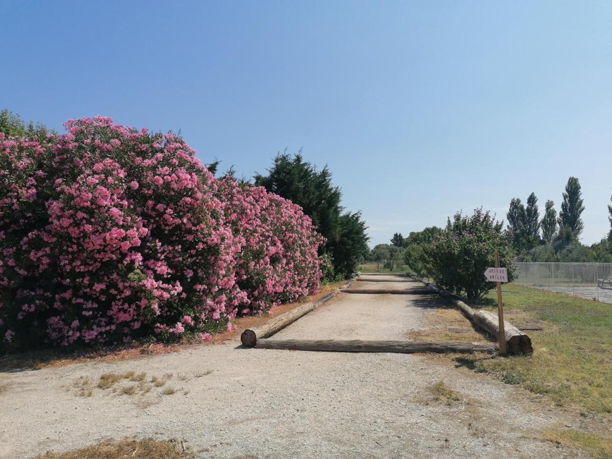 Châteaurenard Les Gites Du Mas Canillac מראה חיצוני תמונה