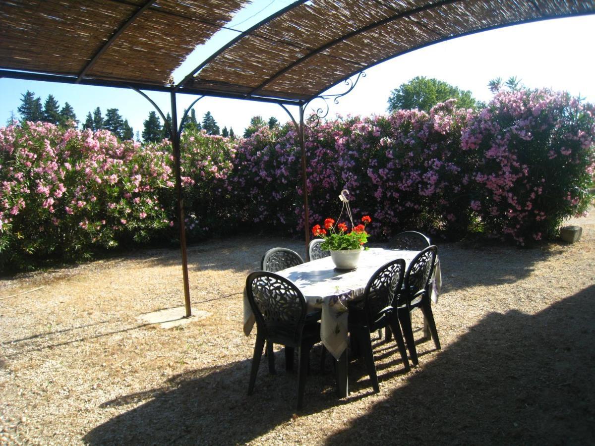 Châteaurenard Les Gites Du Mas Canillac מראה חיצוני תמונה